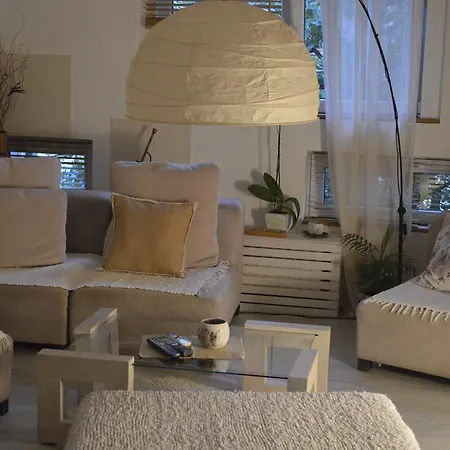 Апартаменти Chic & Cozy Central Loft Скоп'є
